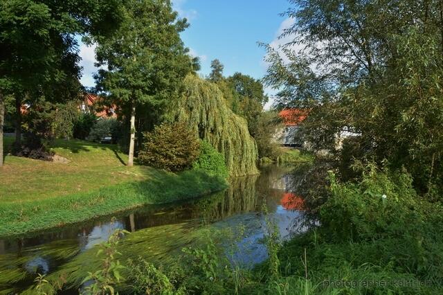 Blick zur Mühle....