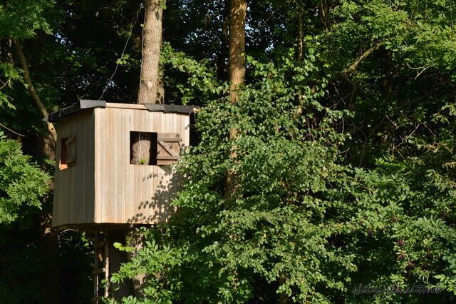 ...ein Baumhaus um den Stamm herum gebaut....