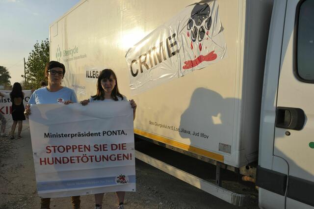 Auch eine Aktivistin aus Deutschland war mit dabei (links, Magdalena Scherk-Trettin) | Foto: Vier Pfoten Matthias Schickhofer
