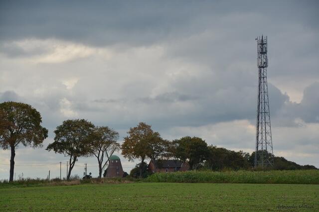 Blick zur L 412 (Sievershausen - Vöhrum), wo auch die Mühle steht....