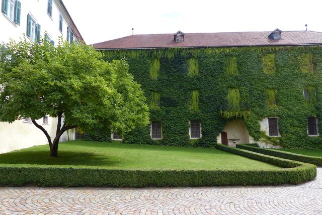 Das gab uns ein Rätsel auf --- währen dder Führung erfuhren wir, dass sich hinter den hellen Blättern die Fenster der Bibliothek befinden, die durchgehend zum Schutz der alten Bücher verdunkelt werden ...
