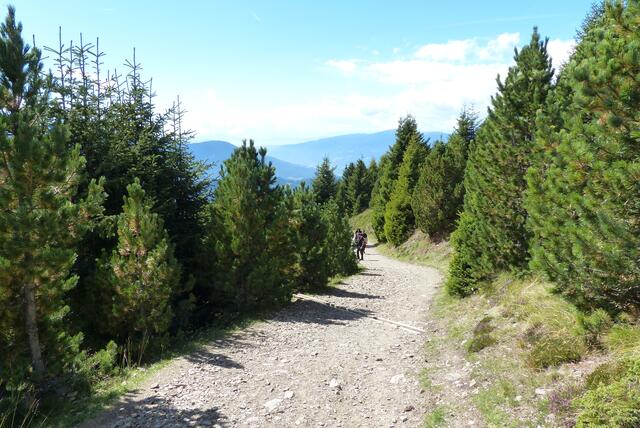 immer wieder ein schattiges Stück Weg, das wir genießen