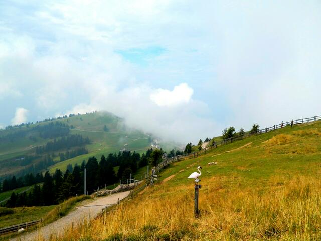 Sie können es selbst überprüfen.  http://www.swisswebcams.ch/webcam/zoom/1010608984-Rigi-Kulm-%286410-Rigi-Kulm%29_Wetter