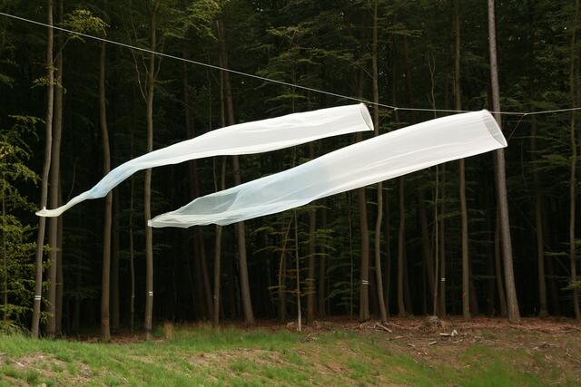 Yu Bogong: http://www.magician-space.com/ennews_details.aspx?id=111
und Megumi Shimizu: https://www.facebook.com/megumi.shim