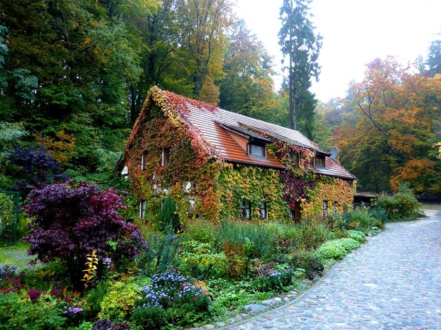 Ein buntes Hexenhaus im Oktober