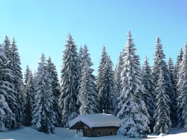 Winterlandschaft