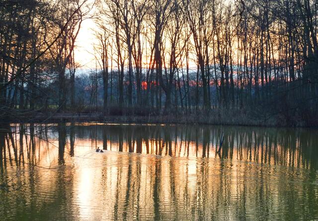 Sonnenuntergang im Stadtpark Langenhagen (März)