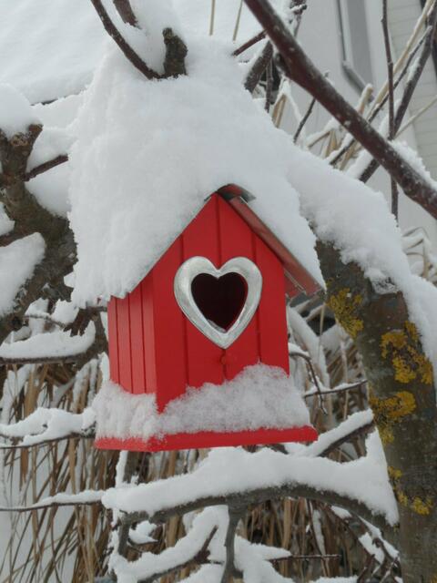 Dezember Blatt