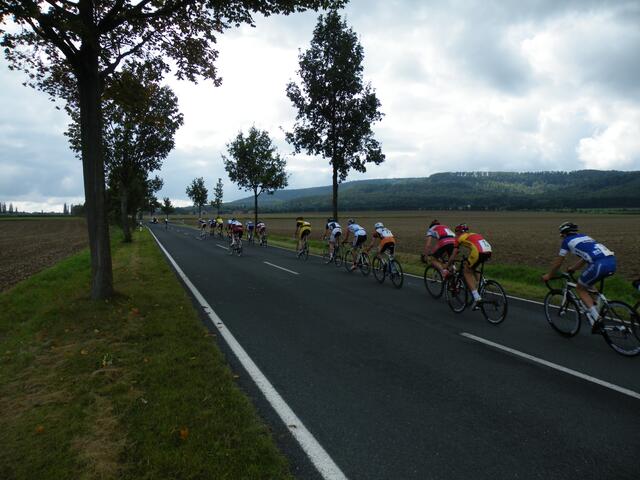 36. Das Feld auf der K208 (Klosterstraße) in Richtung Wülfinghausen.
