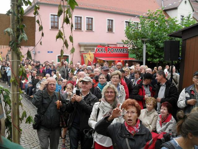 die Winzerfestbesucher