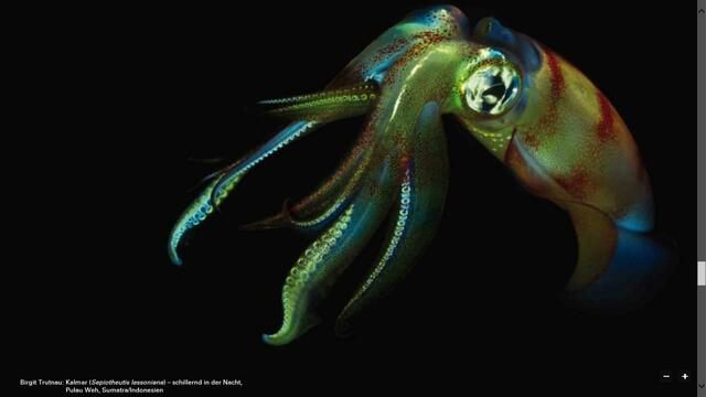 Kalmar | Foto: Birgit Trutnau