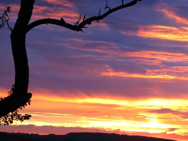 Sonnenuntergang im Mai