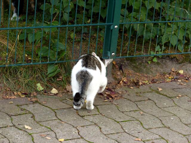 "Warte, warte, ich bin nicht so schnell!"
