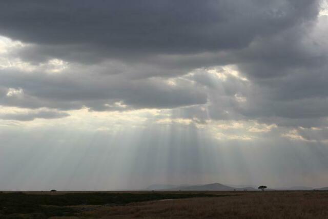 Regnet es diesen Abend noch in der Serengeti?