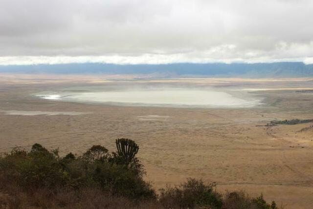Blick von oben in den Ngorongoro-Krater