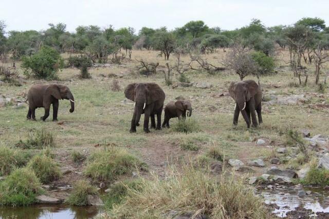 Welchen Weg schlagt ihr ein?