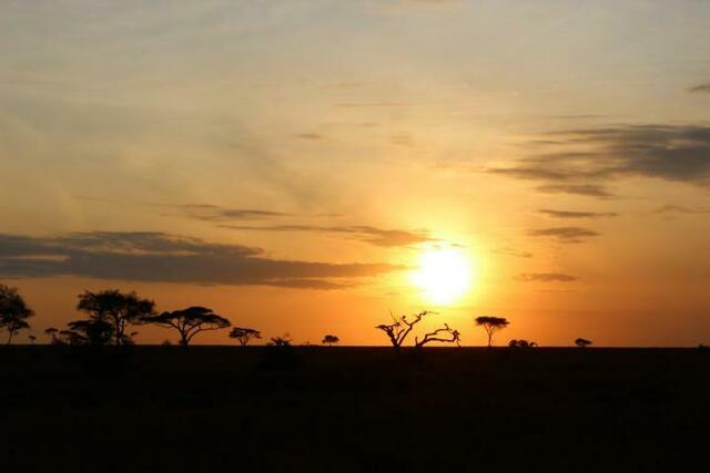 Sonnenuntergang in der Serengeti