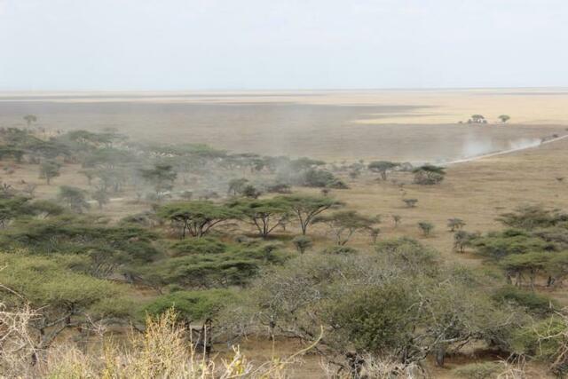Aussicht auf die Serengeti (beim Eingang von Ngorongoro aus kommend)