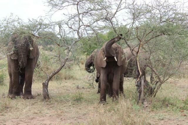 Soll das eine Drohung sein?