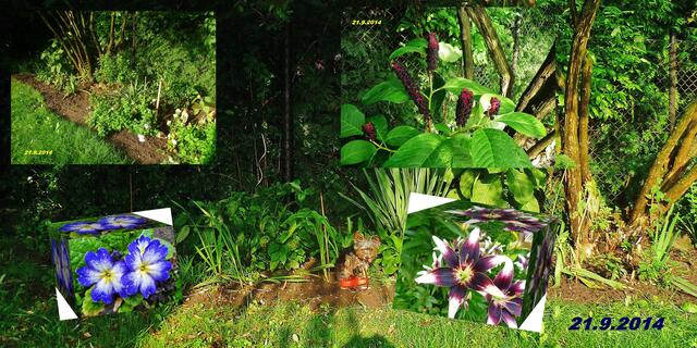 (38) !!! Sonntags + Monatsbilder / Blumenbeet !!! 21.9.2014 - Temperatur: Plus 16C° 7:15h / 17°C Plus 10:24h / Wind: 1-3 / Frühnebel < 300m und bewölkt / nachts Regenschauer !