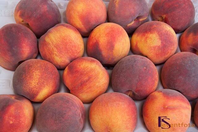 Schwabentag 2014 in Friedberg - Impresssionen vom Marktsonntag