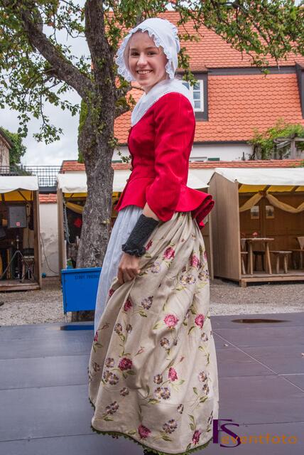 Schwabentag 2014 in Friedberg