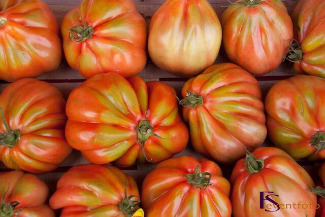 Schwabentag 2014 in Friedberg - Impresssionen vom Marktsonntag