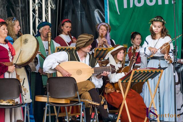 Schwabentag 2014 in Friedberg