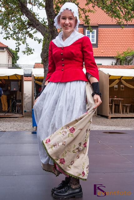 Schwabentag 2014 in Friedberg