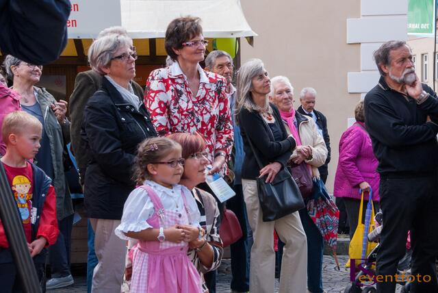 Schwabentag 2014 in Friedberg