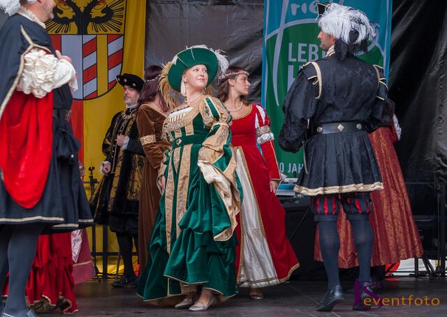 Schwabentag 2014 in Friedberg