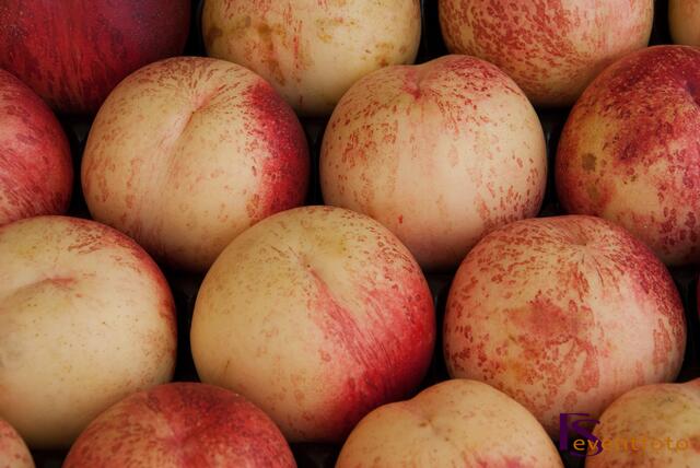 Schwabentag 2014 in Friedberg - Impresssionen vom Marktsonntag