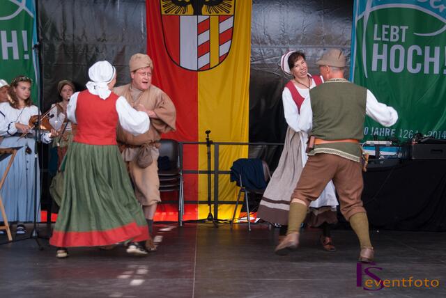 Schwabentag 2014 in Friedberg