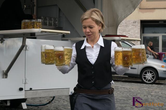 Schwabentag 2014 in Friedberg