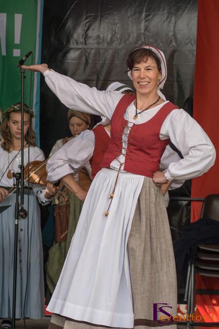 Schwabentag 2014 in Friedberg