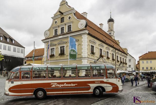 Schwabentag 2014 in Friedberg - Stadtrundfahrten mit dem Oldtimerbus organisierte der Friedberger Verkehrsverein
