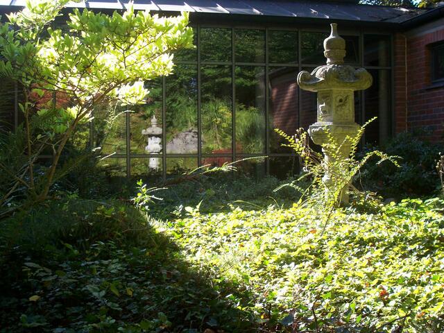 Japanische Laterne im Spiegelbild