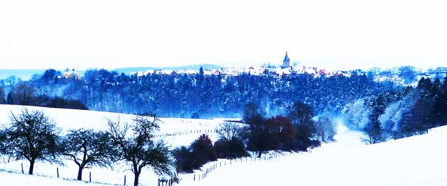 Landau im Winter