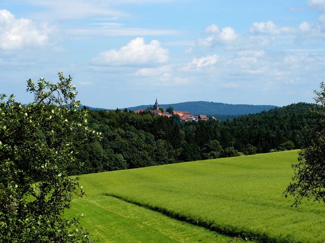 Blick auf Landau von Volkardinghausen