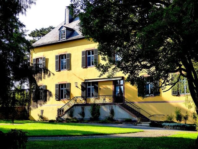 Das Landauer Schloß