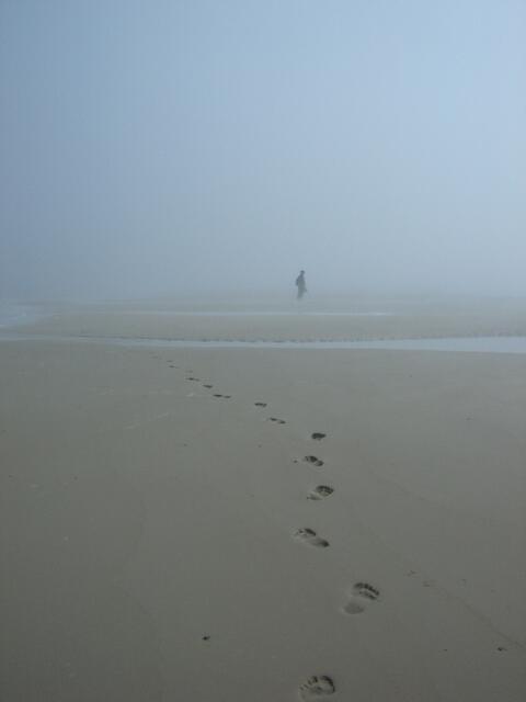 Spuren im Sand