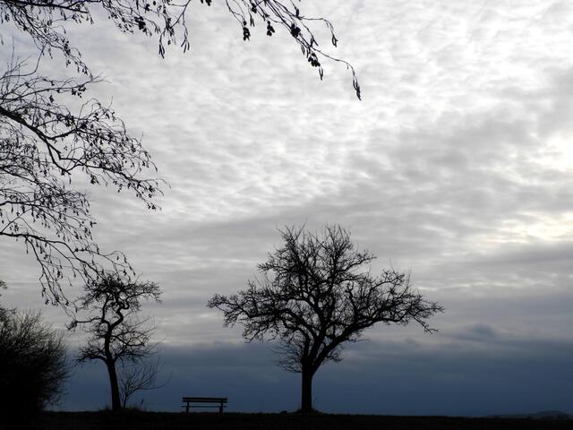 Novemberstimmung