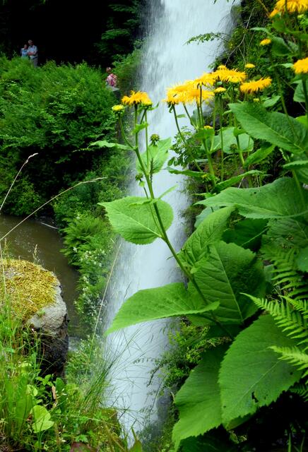 Telekie vor Wasserfall