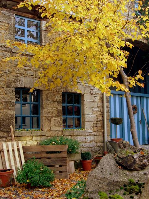 Hof im Herbst