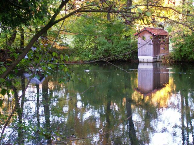 Abendliche Spiegelung in der Weiheranlage