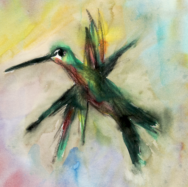 Kolibri