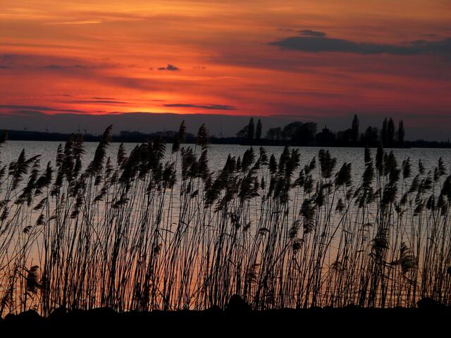 Sonnenuntergang am Steinhuder Meer