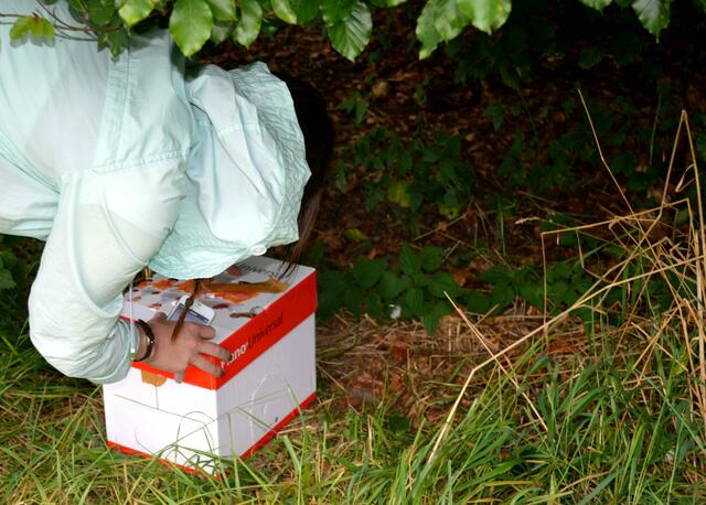 An einem geschützten Platz wird die Box abgestellt.