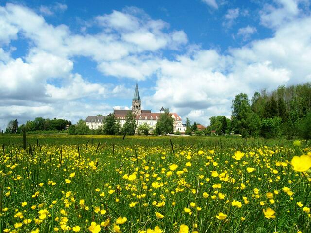 Blumenwiese mit Abtei Sankt Ottilien im Frühjahr