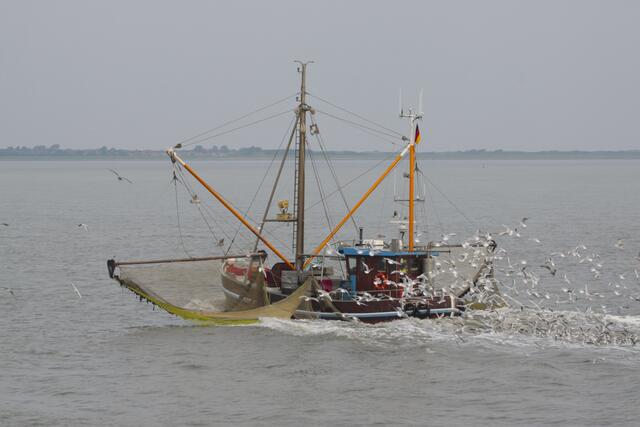 Fischkutter vor der Nordseeinsel Wangerooge